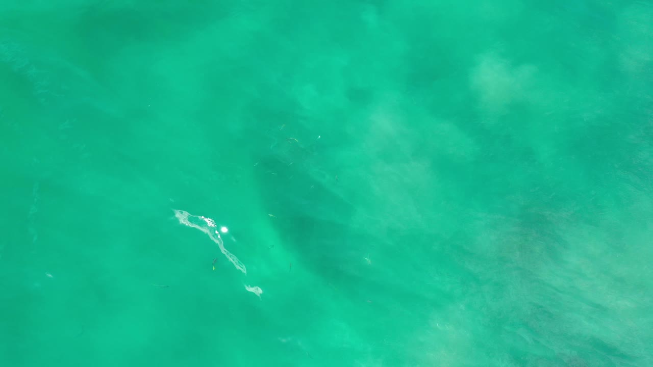 Green water with a bright broken ripple and faint fish-like marks.