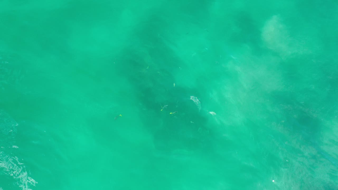 Overhead view of turquoise water in Los Cabos, Mexico, with pale foam near the upper center, darker submerged shapes below, and no visible people.