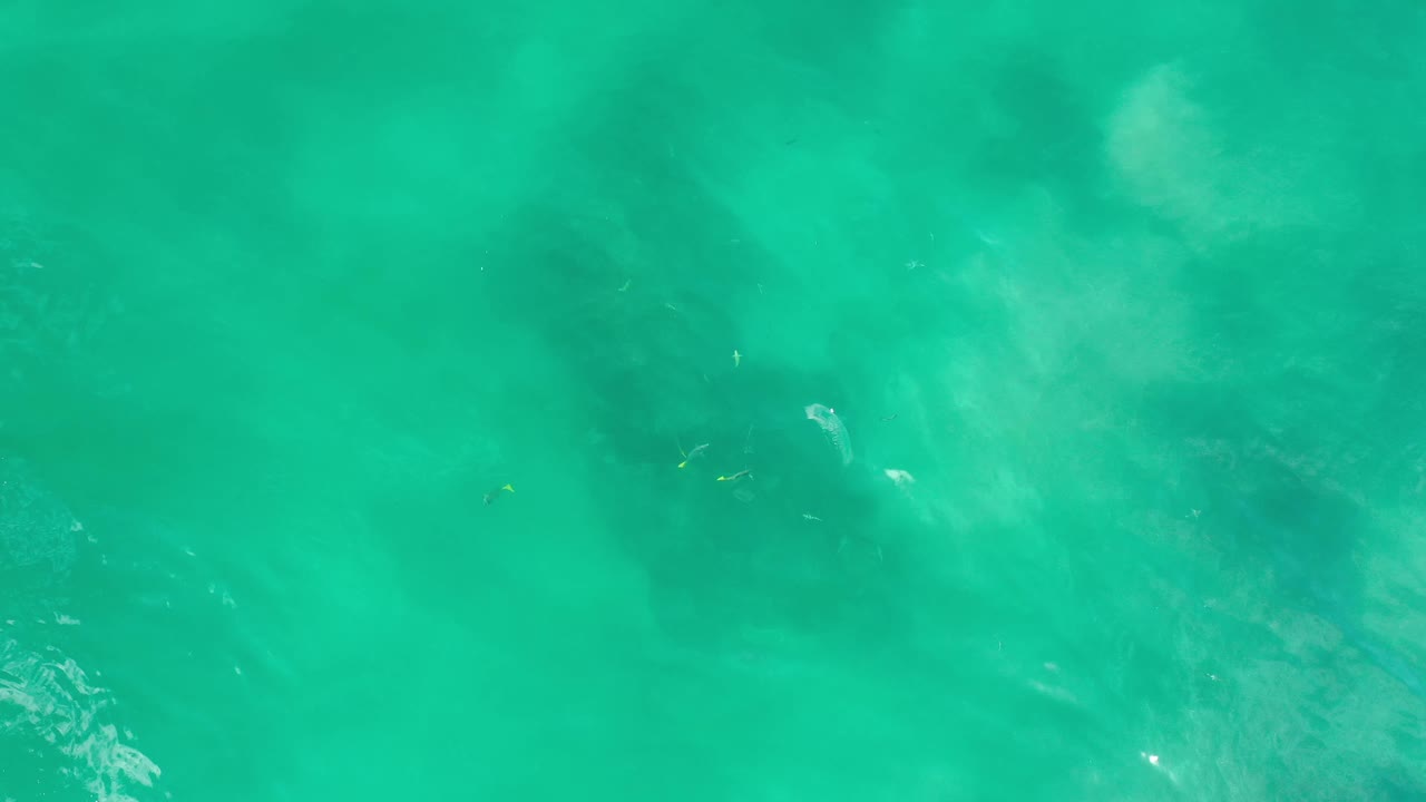 Overhead Los Cabos water surface with a soft foam cloud high in frame, faint dark shapes beneath the water, and no visible people.