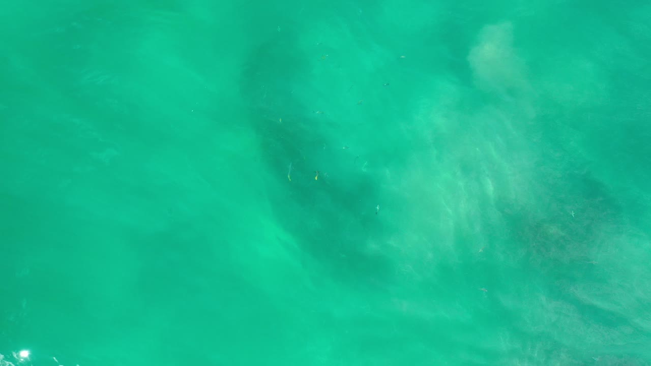 Overhead view of green ocean water in Los Cabos, Mexico, with faint pale wave streaks and no visible people.