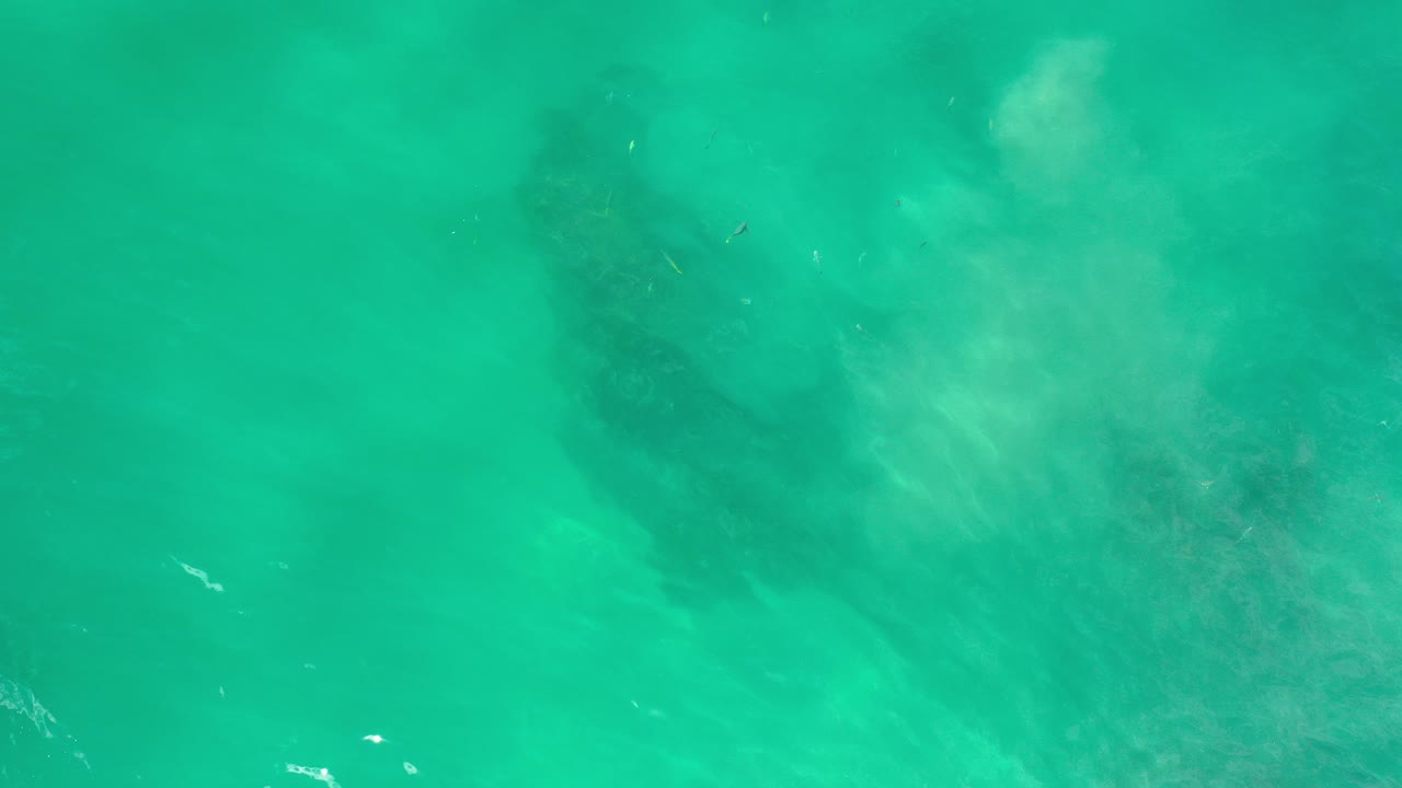Overhead view of green seawater in Los Cabos, Mexico, with a broad dark submerged base near the upper frame and no visible people.