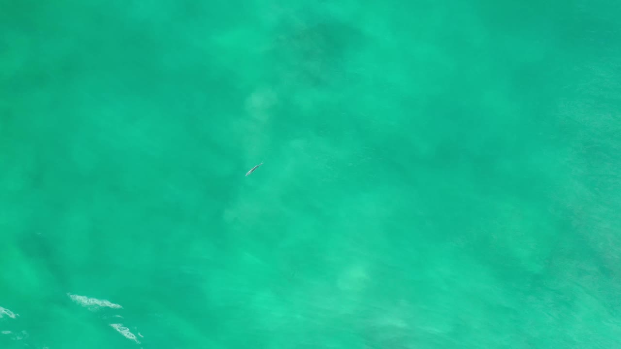 Overhead Los Cabos water frame with green-blue ripples, cloudy underwater patches, a small fish near the upper center, and no visible people.
