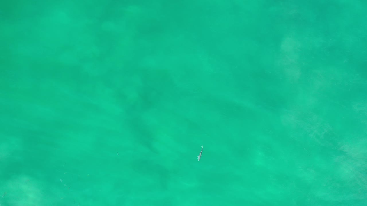 Turquoise ocean water over a sandy bottom