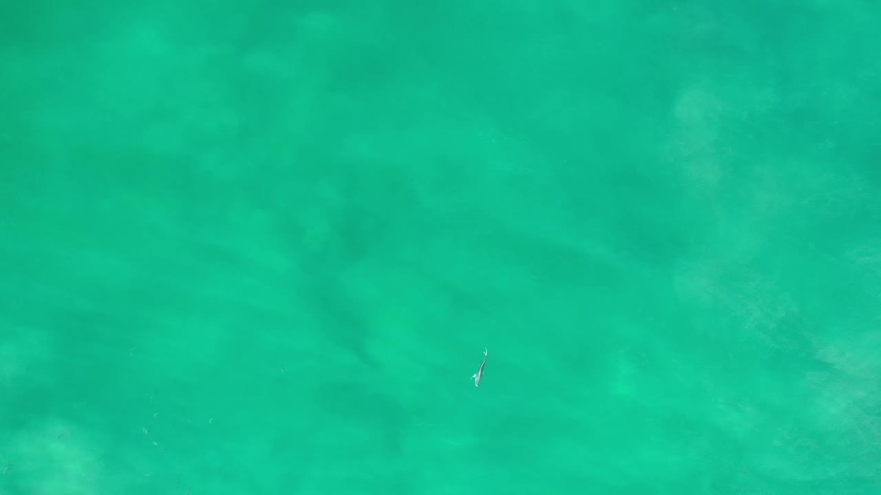 Overhead Los Cabos water frame with blue-green surface color, cloudy pale sand beneath, and no visible people or built objects.