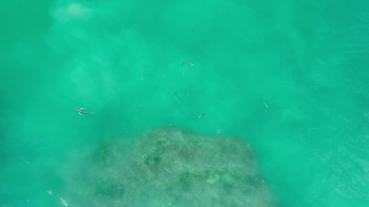 Top-down turquoise sea with submerged rocks and a small fish.