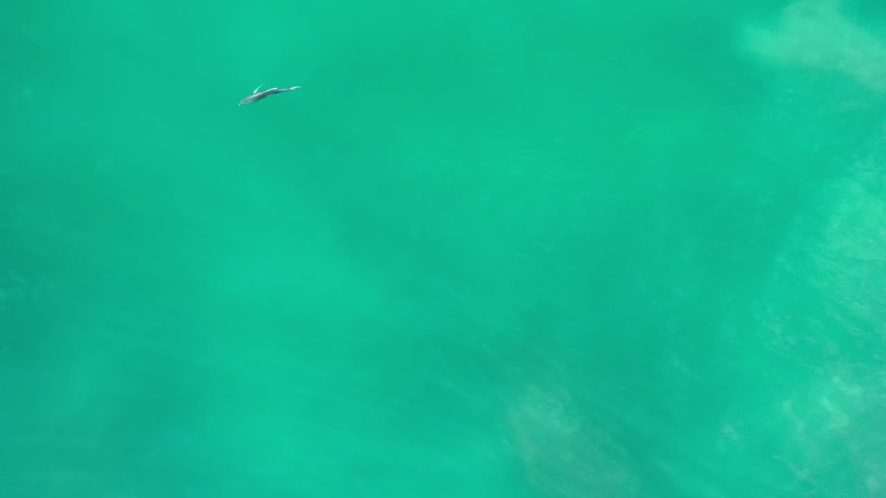 A small fish appears near the upper left of a turquoise water surface in Los Cabos, Mexico, with faint darker patches below and no visible people.