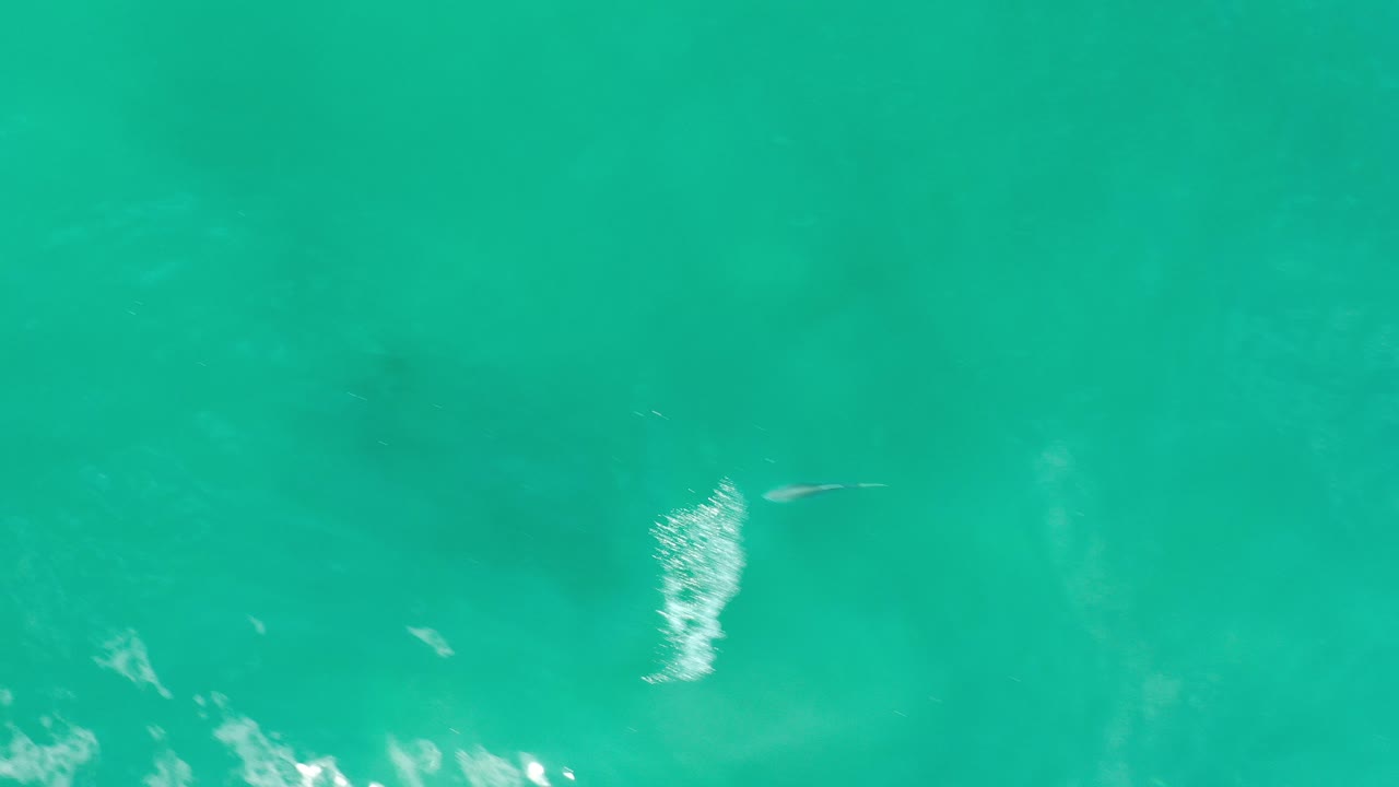 Overhead view of turquoise water in Los Cabos, Mexico, with faint submerged stones, small fish near the lower edge, surface glare, and no visible people.