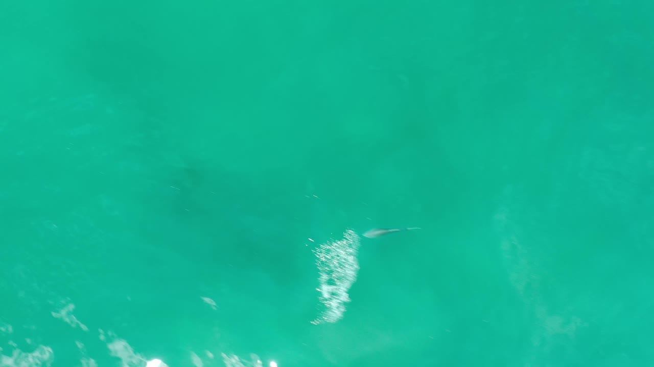 Clear turquoise water in Los Cabos, Mexico, with a small fish near the top, bright reflected glare, soft ripples, darker underwater forms, and no visible people.