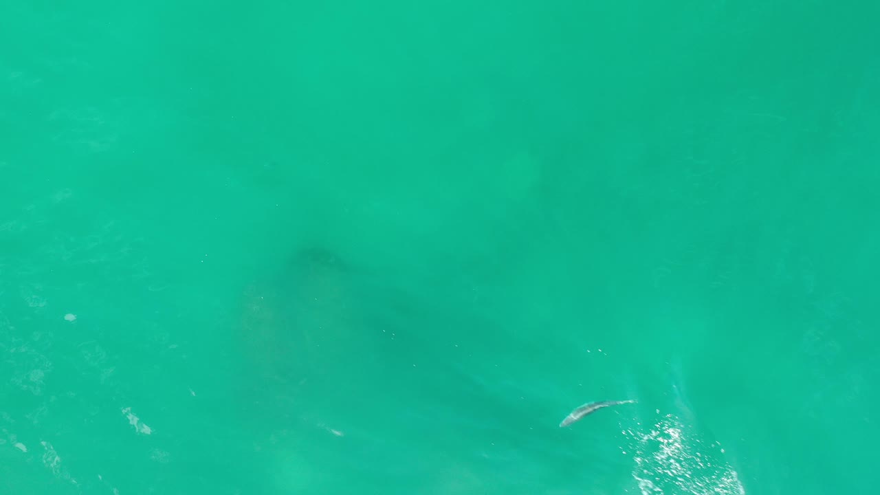 Turquoise water with bright reflection and faint fish over underwater stone forms.