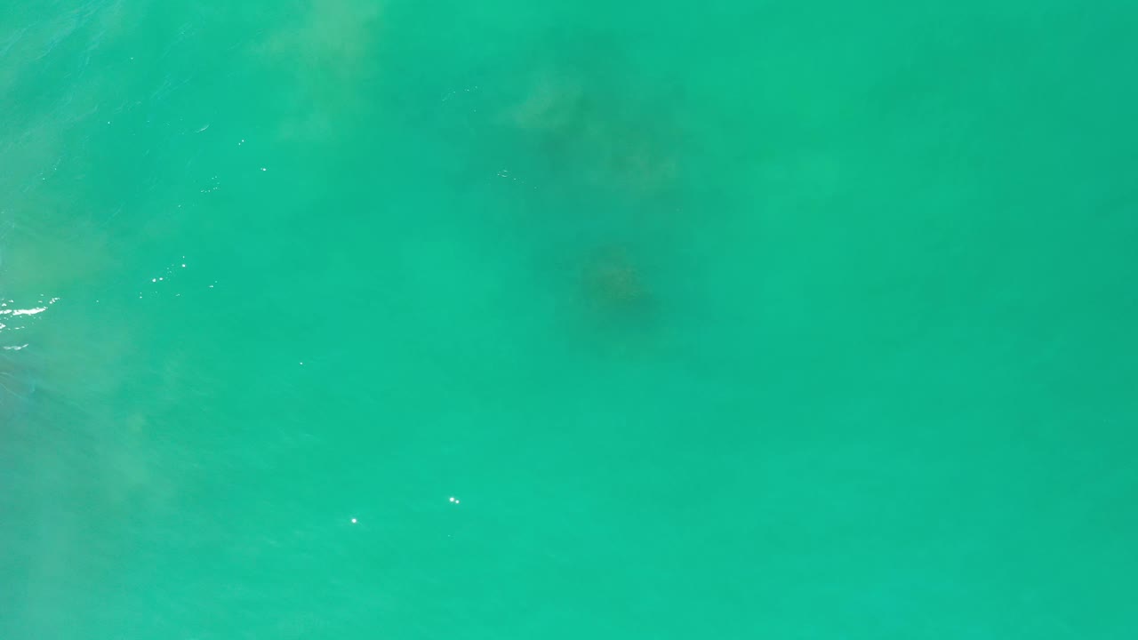 Clear green ocean surface in Los Cabos, Mexico, with small white highlights and muted pale shapes below the water, no visible people.