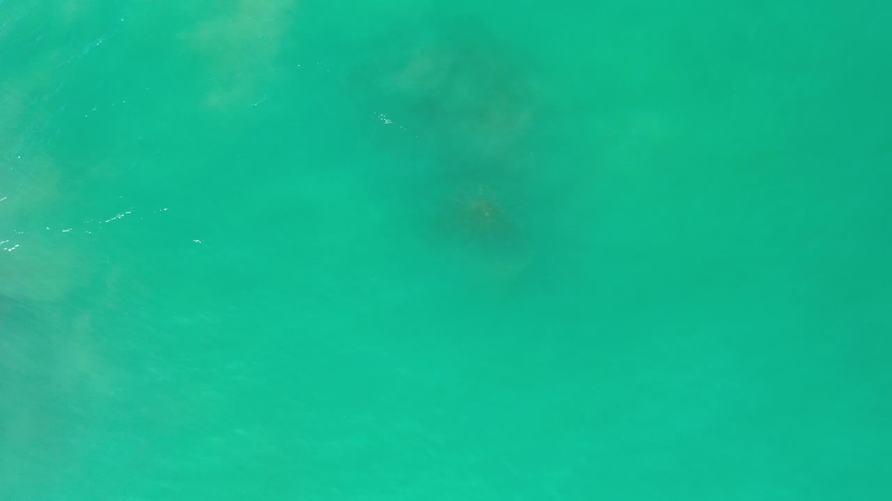 Green ocean water with darker underwater shading.