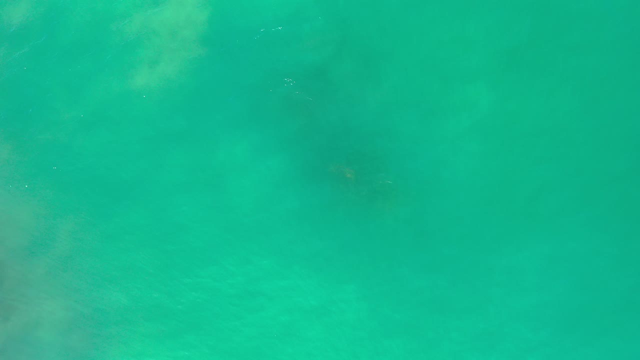 Green ocean surface with faint underwater shape