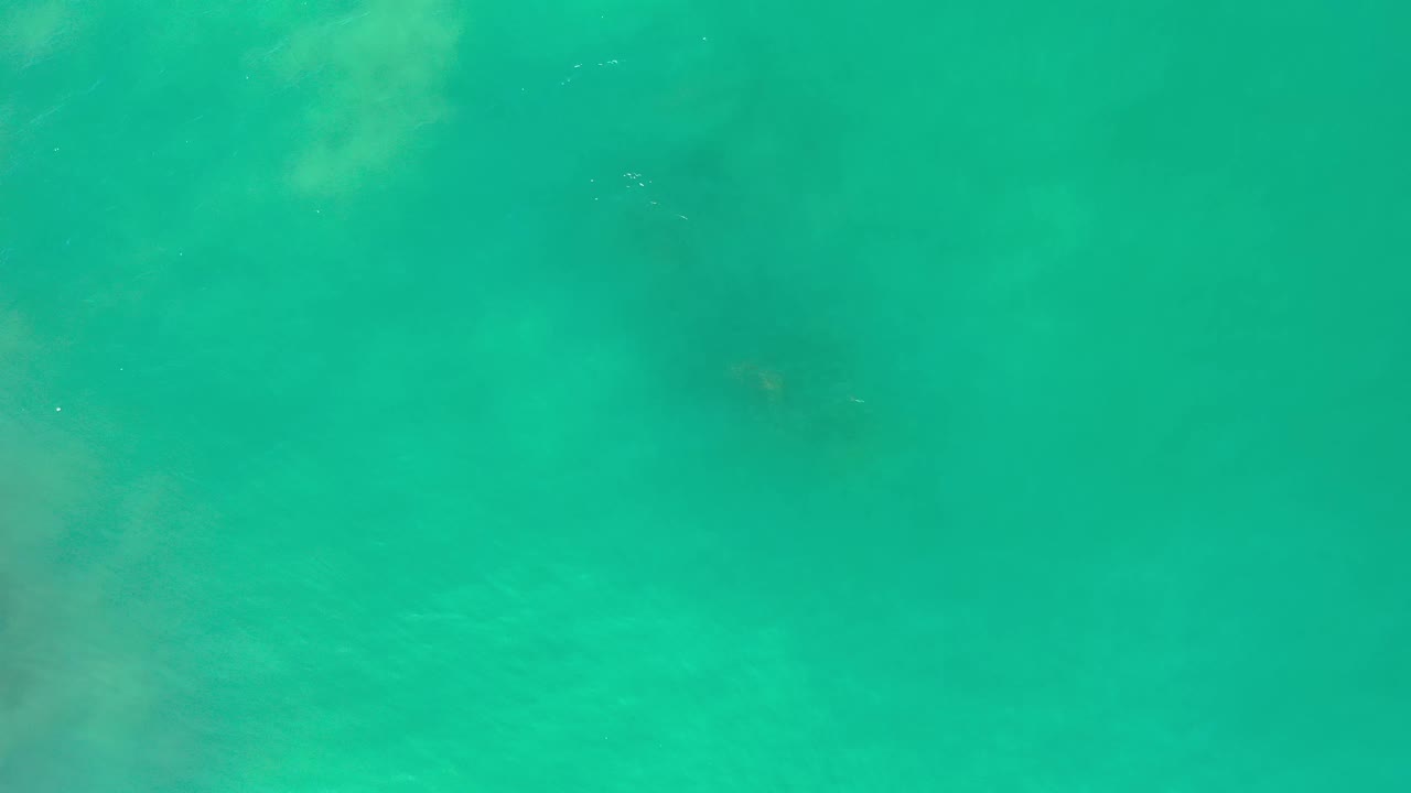 Overhead Los Cabos ocean frame with turquoise-green water, a darker underwater shadow near the center, and no visible people.