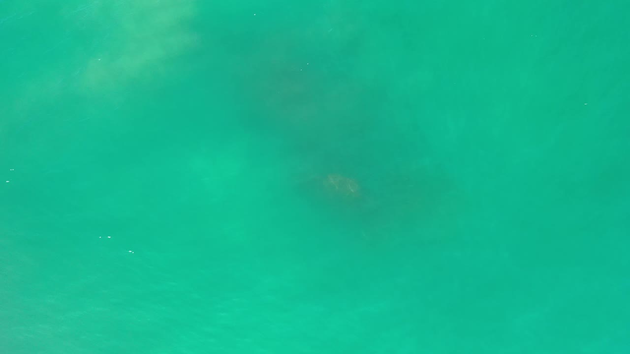 Blue-green Los Cabos sea water fills the frame, with darker underwater rock patches visible through the surface and no visible people.