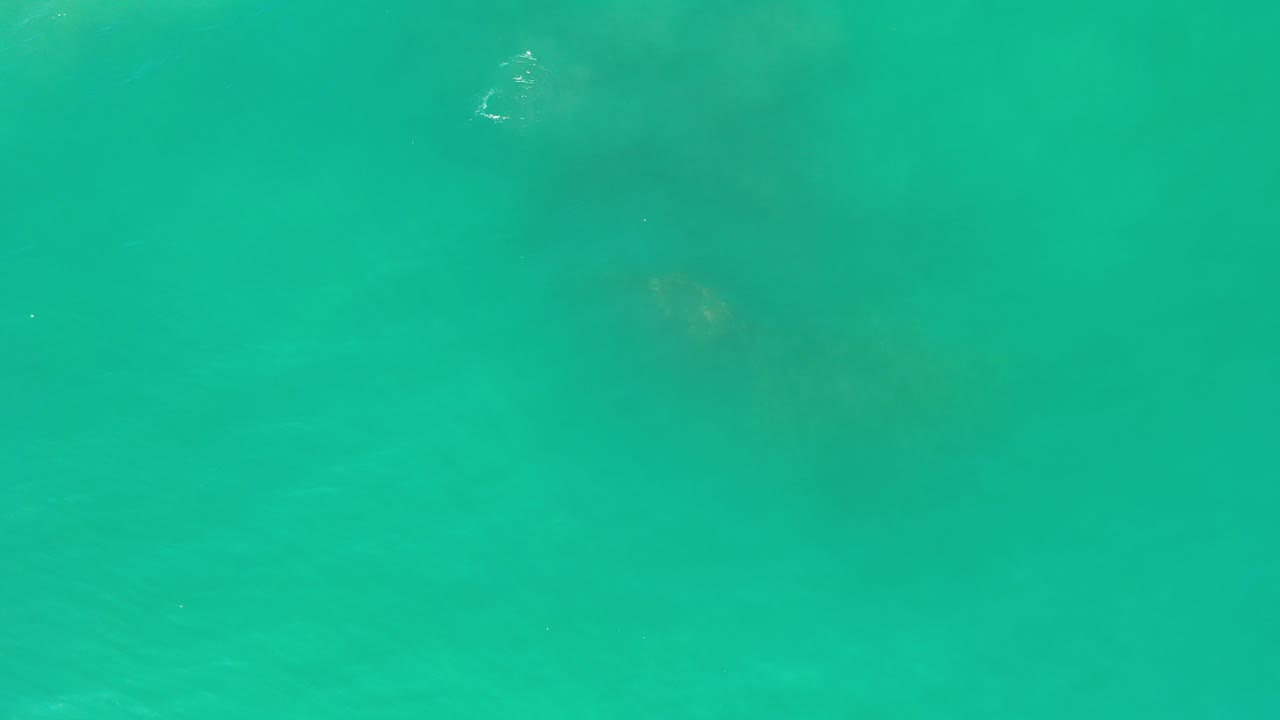 Turquoise ocean water in Los Cabos fills the frame at the start, with faint ripples, pale sun glints, darker submerged patches, and no visible people.