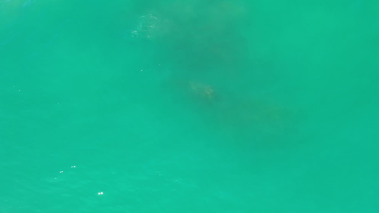 Open turquoise water with small bright highlights.