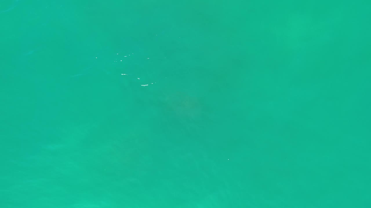 Overhead view of green-turquoise water in Los Cabos, Mexico, with faint underwater shapes and no visible people.