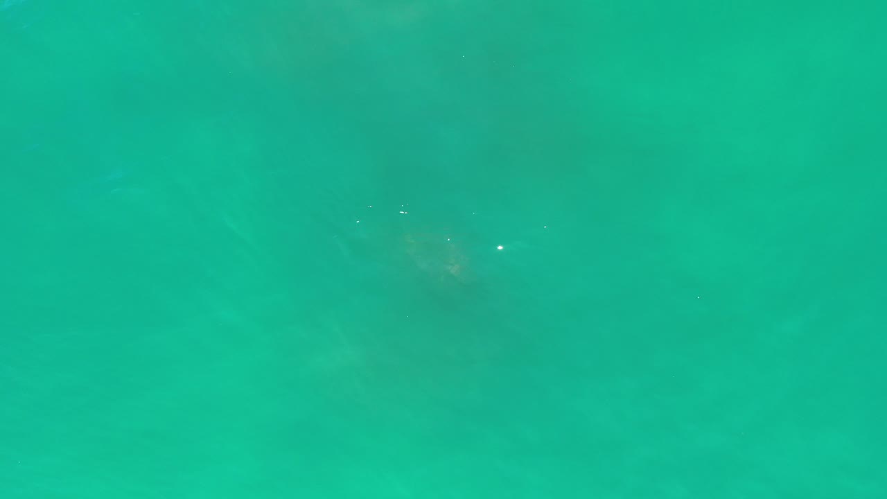 Greenish-blue water surface with faint ripples.