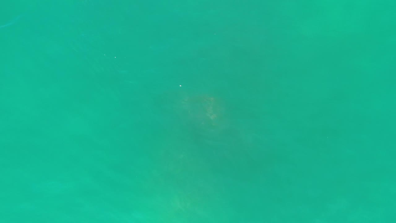 Turquoise water with a faint darker form below the surface.