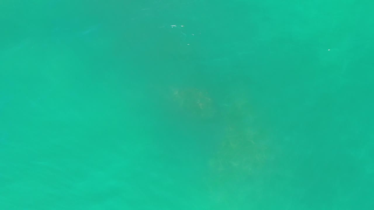 Green ocean water in Los Cabos, Mexico, fills the frame with a few tiny white surface flecks and no visible people.