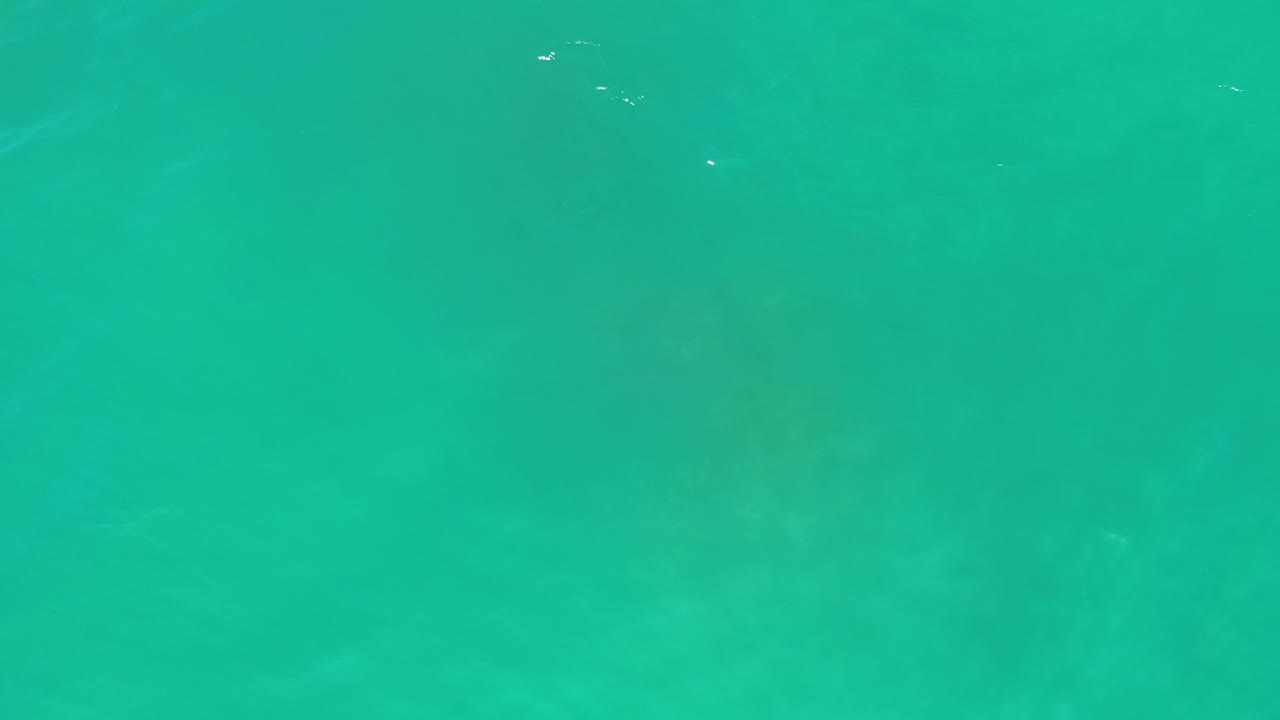 Open green water with cloudy darker shapes below the surface.