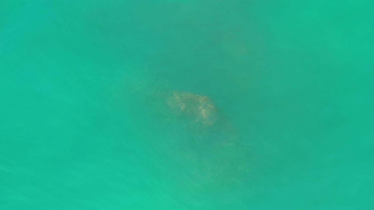 Clear ocean water with a small bright patch near the upper right.