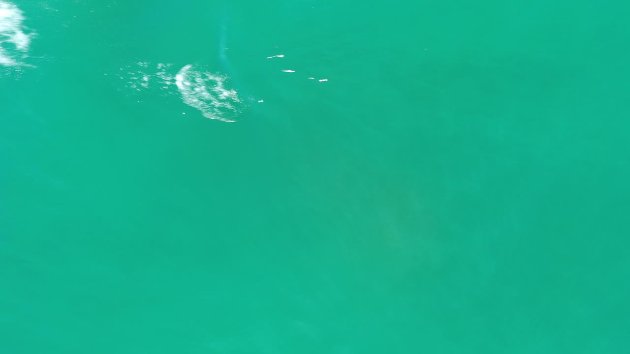 Teal water fills the frame in Los Cabos, Mexico, with small white highlights near the upper left and no visible people.