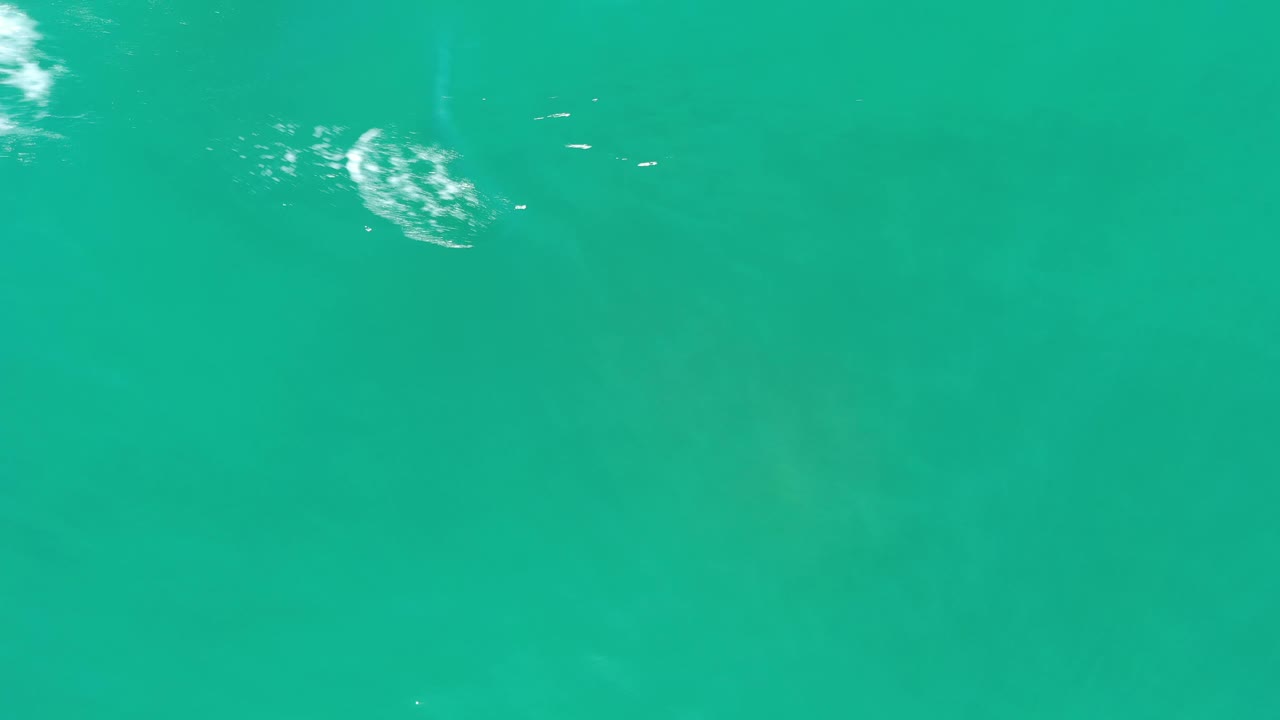 Teal Los Cabos water fills the image, with a brighter patch near the top left and faint darker shapes below the surface, no visible people.