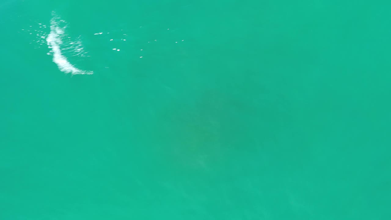 Green-blue water with a curved white ripple near the top