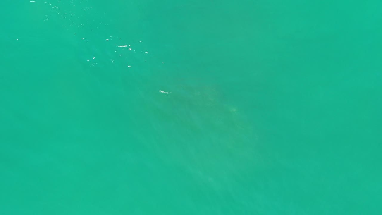 Turquoise underwater view in Los Cabos, Mexico with a faint sea turtle shape low in the frame and no visible people.
