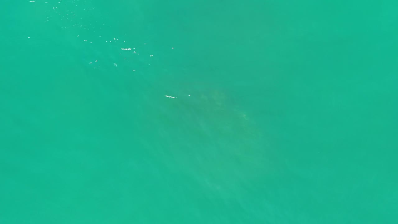 Blue-green underwater frame from Los Cabos, Mexico with small surface glints and a barely defined turtle form beneath the water, no visible people.