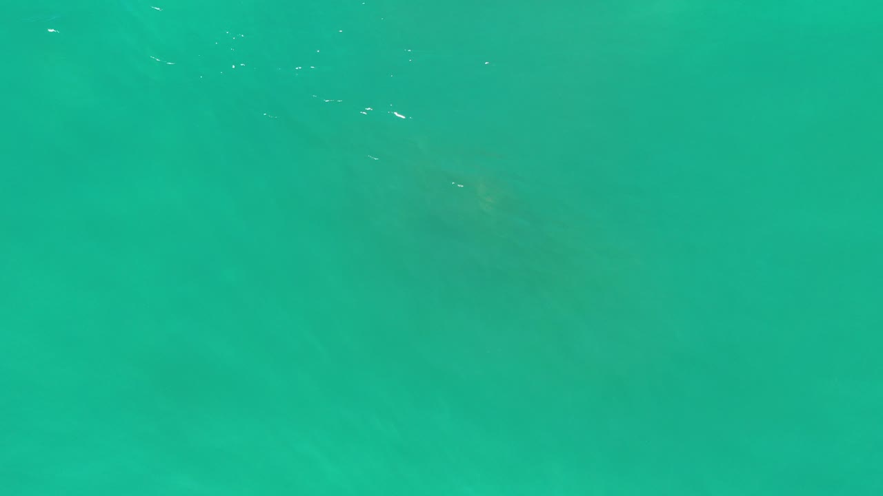 At the opening moment in Los Cabos, Mexico, green water fills the frame with a barely visible dark submerged shape and no visible people.