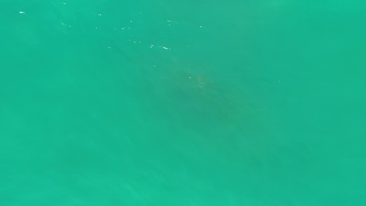 One second in, the Los Cabos water remains opaque green while a darker patch sits below the surface near the middle, with no visible people.