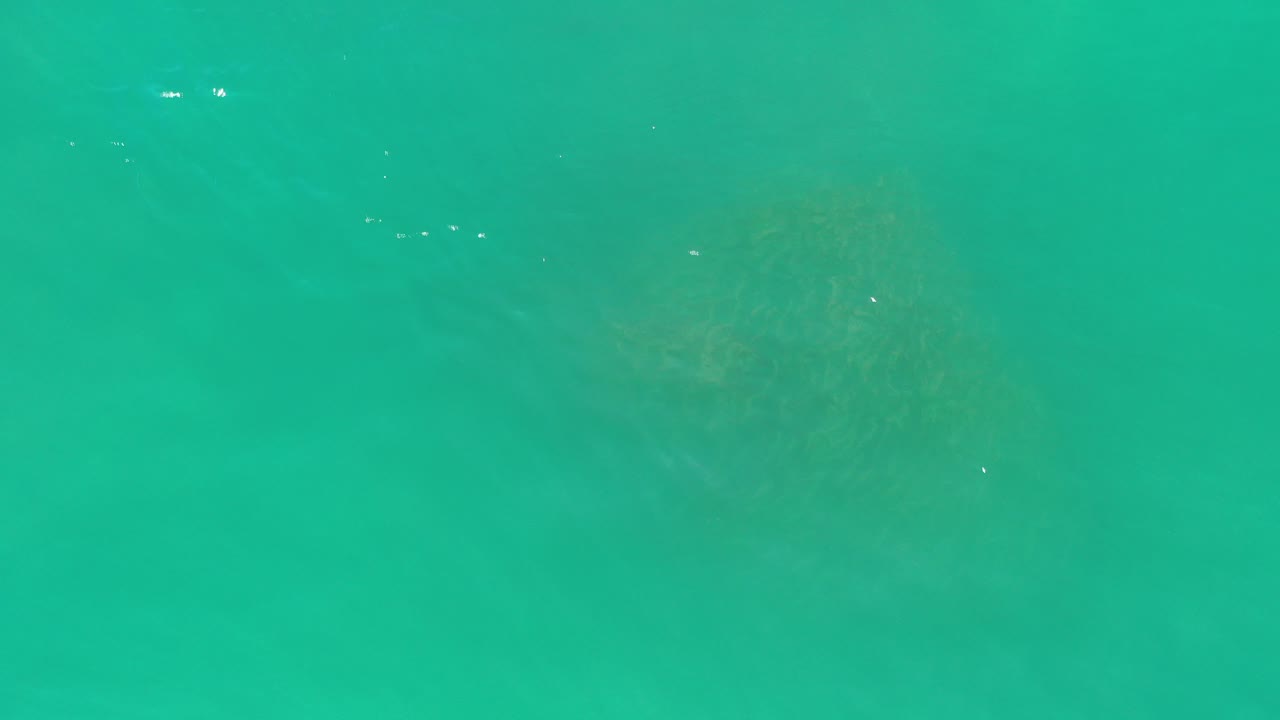 Aqua green water in Los Cabos, Mexico, with faint dark brownish shapes under the surface and no visible people.