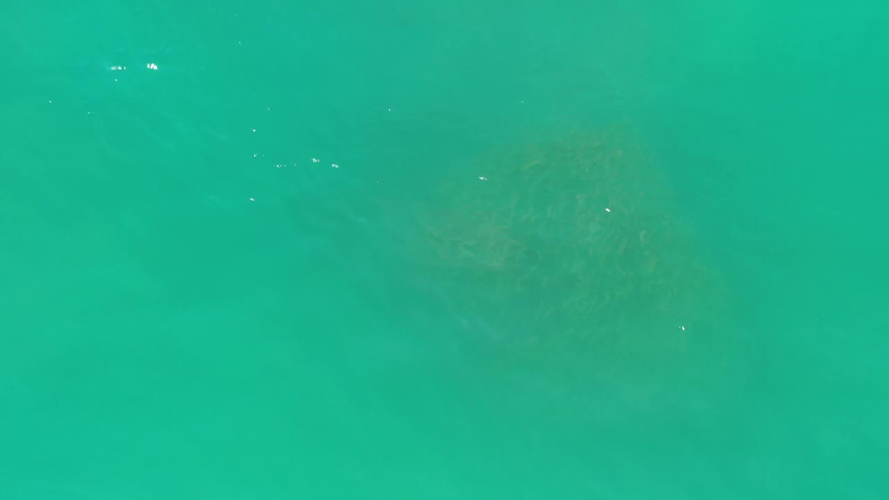 Rippling aqua green water in Los Cabos, Mexico, with small white sparkles and muted brown shapes beneath the surface, no visible people.