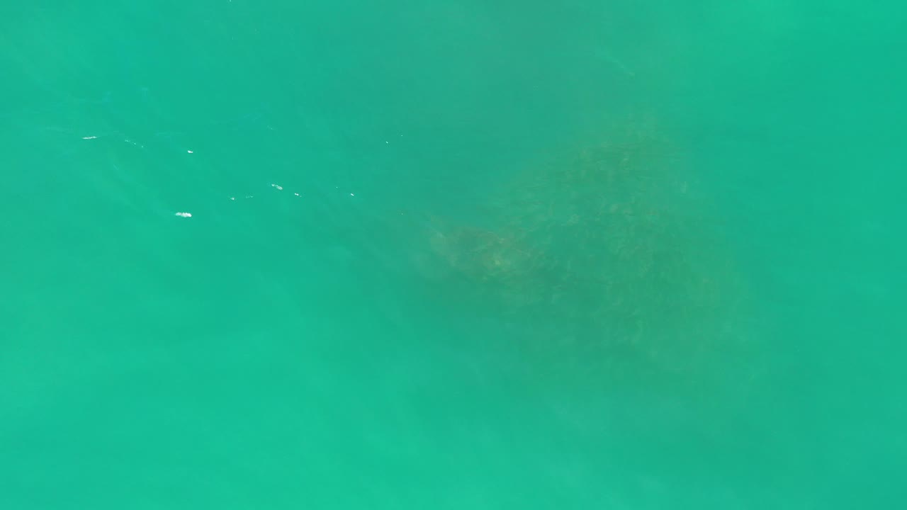 Green ocean water with diffuse darker shapes under the surface.