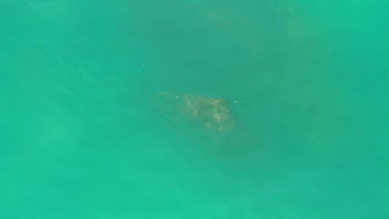 Overhead view of turquoise water in Los Cabos, Mexico, with a faint gray-brown aquatic creature near the upper left and no visible people.