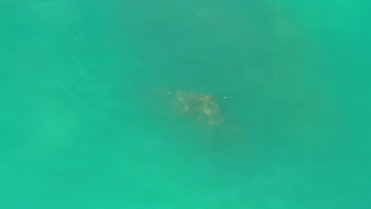 Blue-green Los Cabos water with the gray-brown aquatic form slightly clearer near the upper center and no visible people.