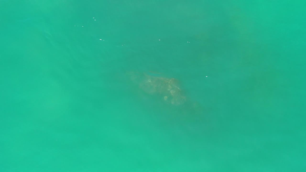 Turquoise surface with a dim aquatic form under the water near the top.