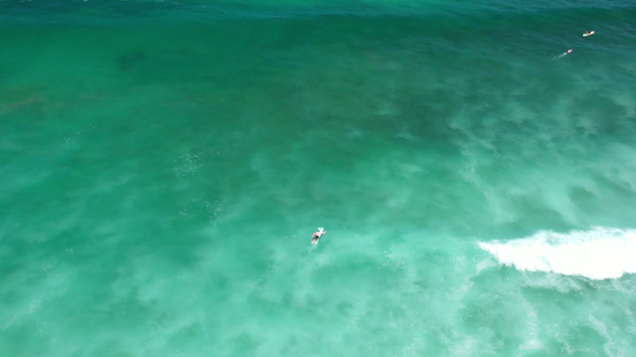 Overhead view of turquoise green sea in Los Cabos, Mexico, with a white wave breaking across the lower right and tiny surfers near the upper edge.