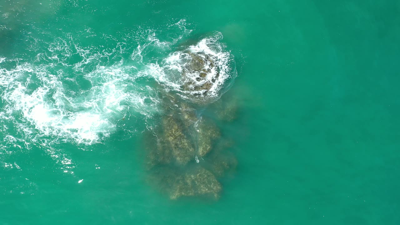 Foam ring forms near the top of coral in turquoise sea.