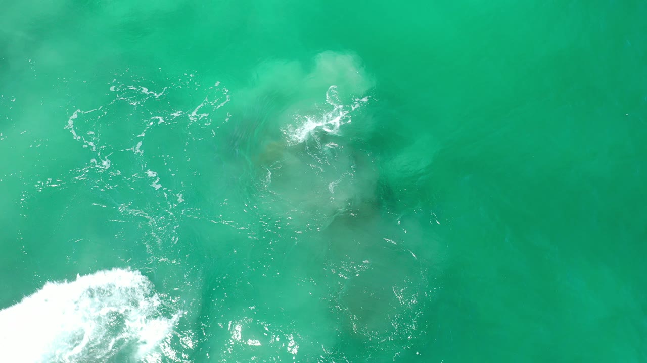Turquoise water with white foam over submerged dark coral.
