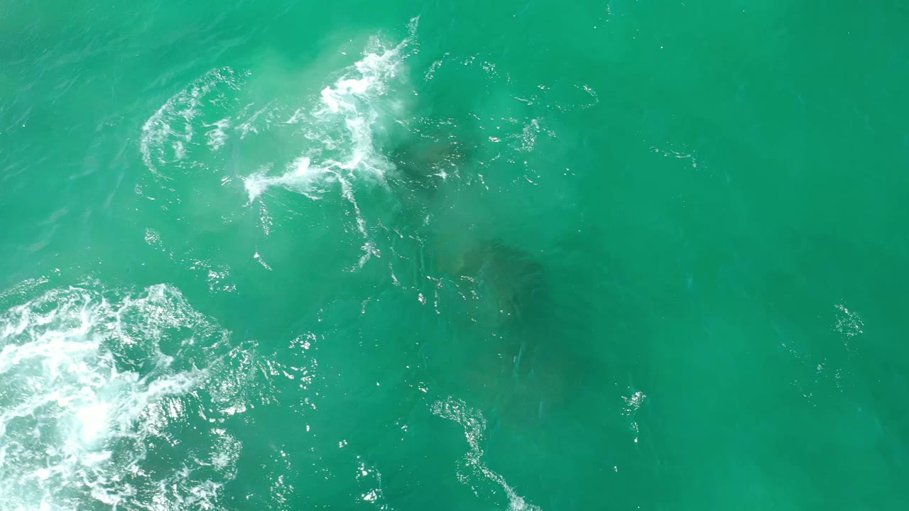 Overhead Los Cabos water frame with bright foam streaks across the upper and lower left areas, dark submerged rock forms under the green surface, and no visible people.