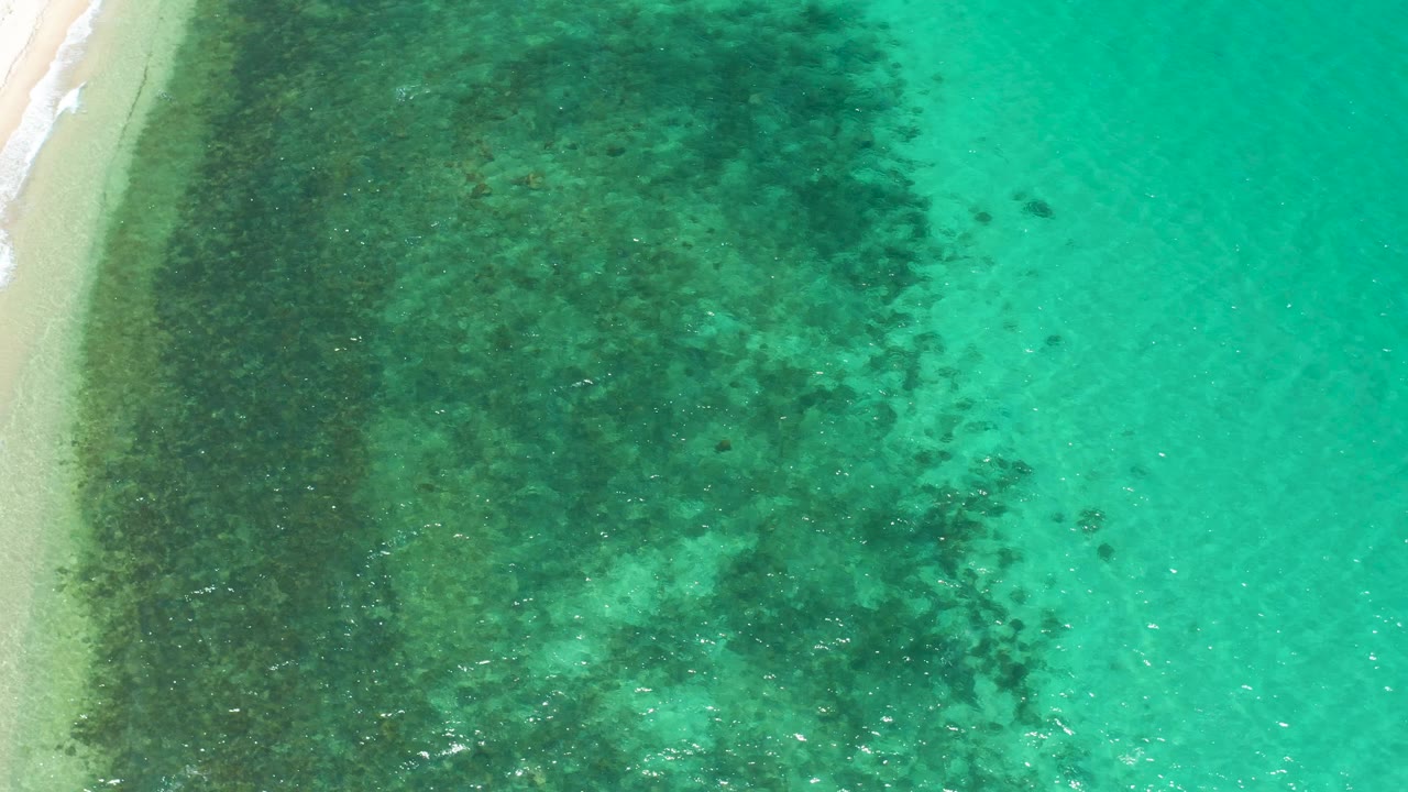 Top-down El Sargento La Ventana shoreline frame with pale sand clipping the left edge, a broad band of darker submerged growth, clear turquoise water, and no visible people.