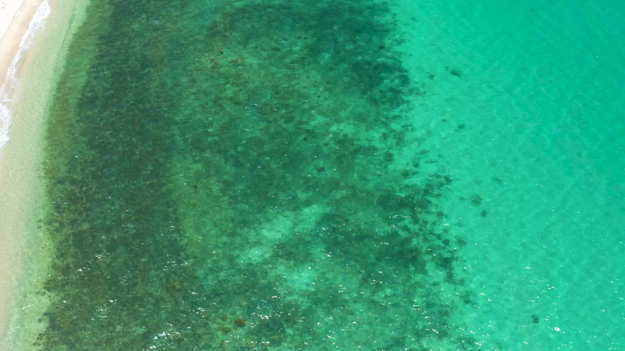 High aerial frame in El Sargento La Ventana, Mexico, with the sandy beach strip running down the left side, mottled dark seaweed beneath turquoise water, and no visible people.