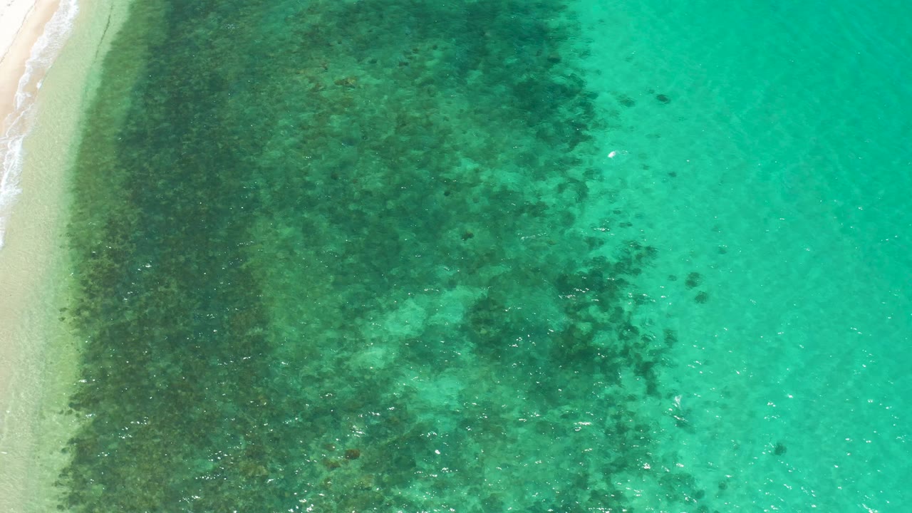 Overhead view in El Sargento La Ventana, Mexico, showing clear aqua water to the right, a pale shoreline sliver at left, broad dark seabed vegetation, and no visible people.