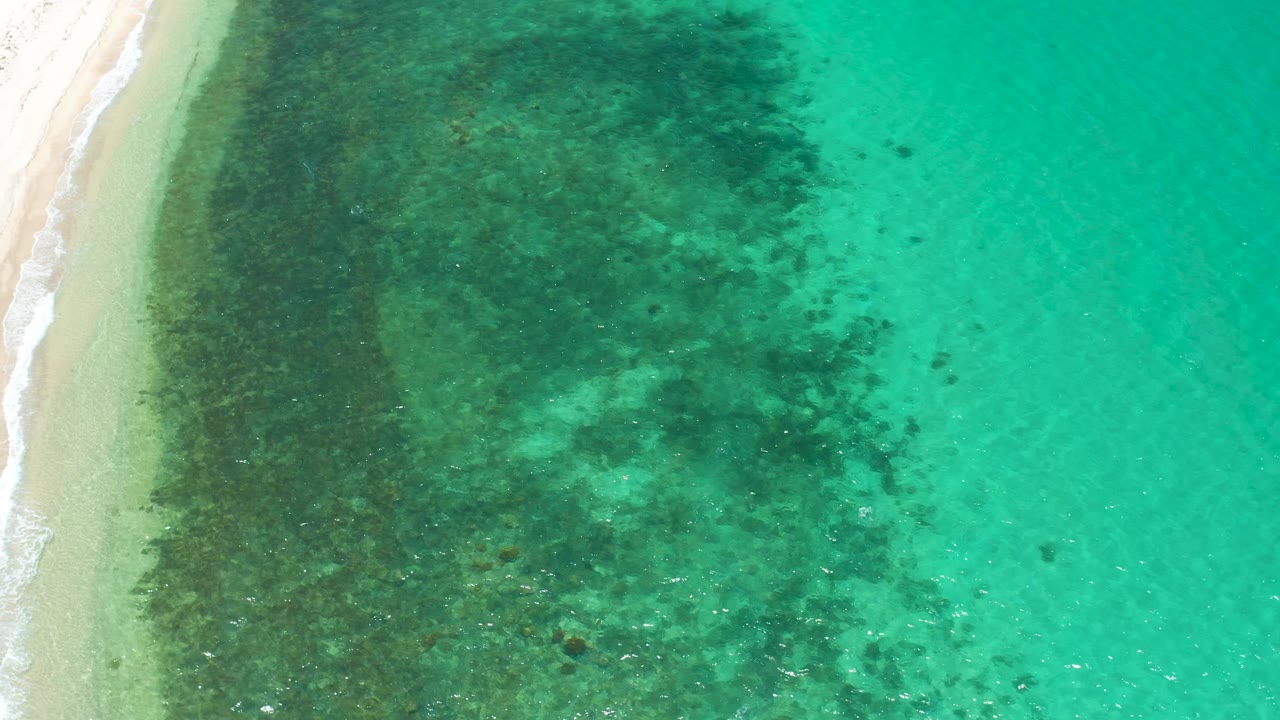 Top-down shoreline view in El Sargento La Ventana with a narrow strip of sand on the left, mottled dark marine vegetation across the middle, bright aqua water on the right, and no visible people.