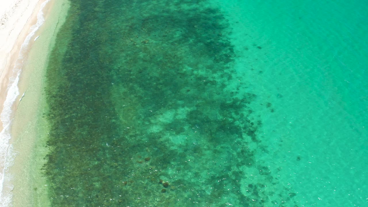 Overhead El Sargento La Ventana beach view with the shoreline running vertically at left, gentle foam along the sand, darker underwater vegetation beside it, turquoise water beyond, and no visible people.