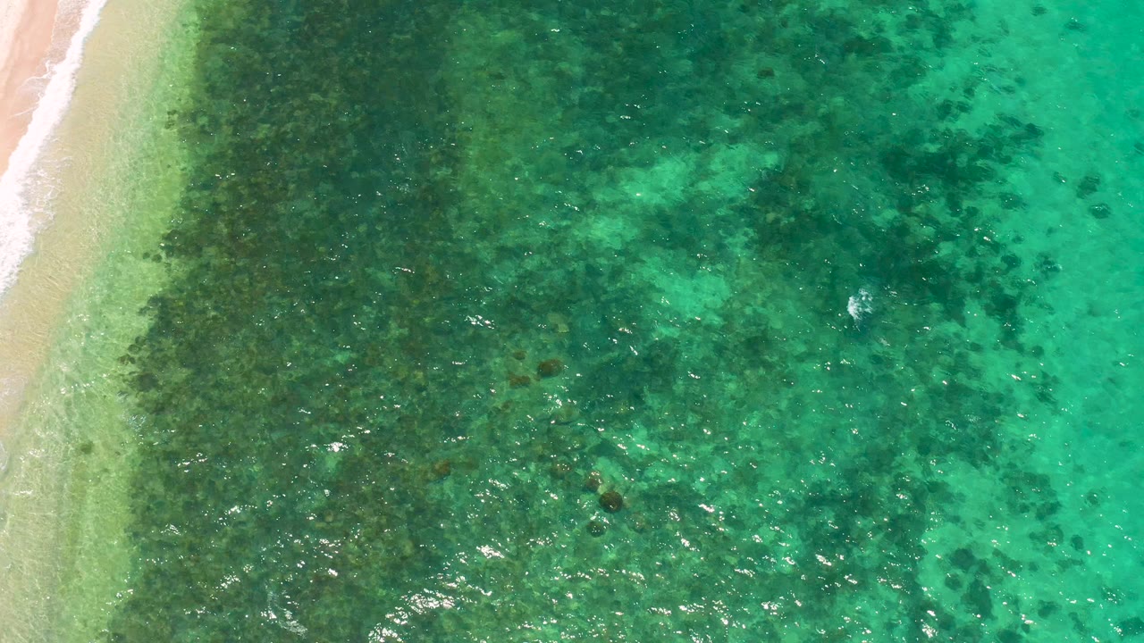 Top-down view in El Sargento La Ventana, Mexico with green-blue water, dark seabed growth, small rocks, bright surface highlights, and no visible people.