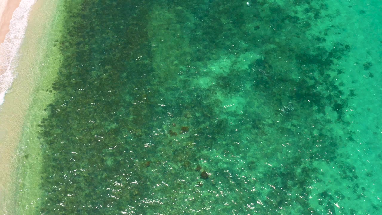 Downward view over El Sargento La Ventana shallows, where dense dark algae patches sit under turquoise water beside a pale sand strip, with no visible people.